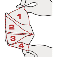 Load image into Gallery viewer, DELTAPLUS M1204 BOX OF 20 HALF-MASKS FFP2 WITH 4 FOLDABLE PARTS