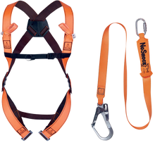 Load image into Gallery viewer, DELTAPLUS ELARA190V2 - HARNESS KIT FOR SCAFFOLDERS
