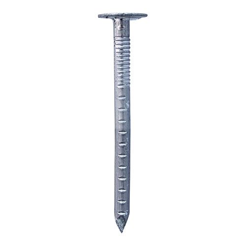 ACN45_w1.jpg