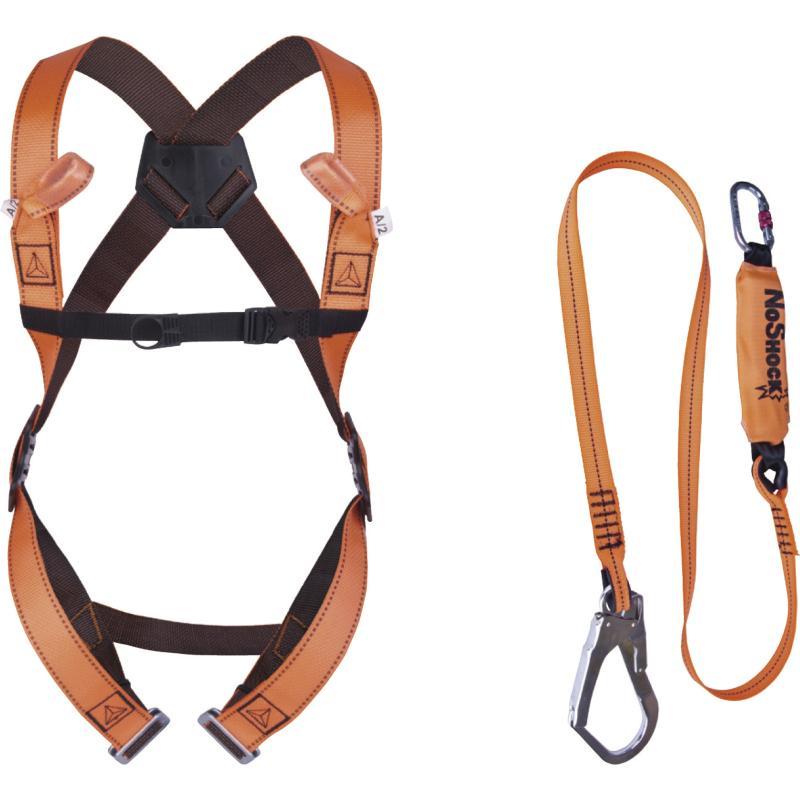 DELTAPLUS ELARA 190 "SCAFFOLDING" FALL ARRESTER HARNESS KIT