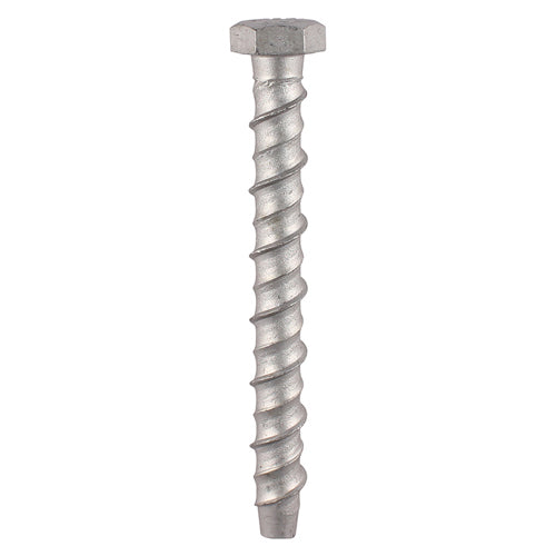 Multi-Fix Masonry Bolts - Hex - Exterior - Silver 10.0 x 100