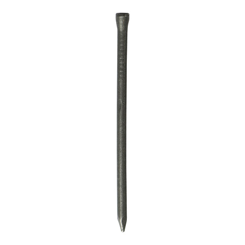 SPP50_w1.jpg