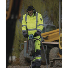 Load image into Gallery viewer, DELTAPLUS INTERLAGOS SAFETY EAR DEFENDER
